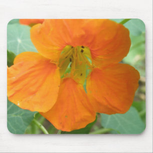 Alfombrilla De Ratón Naranja Nasturtium Flower Mousepad