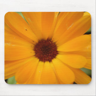 Alfombrilla De Ratón Naranja Rain Daisy Mousepad