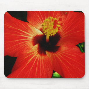 Alfombrilla De Ratón Naranja rojo brillante Hibiscus Flower