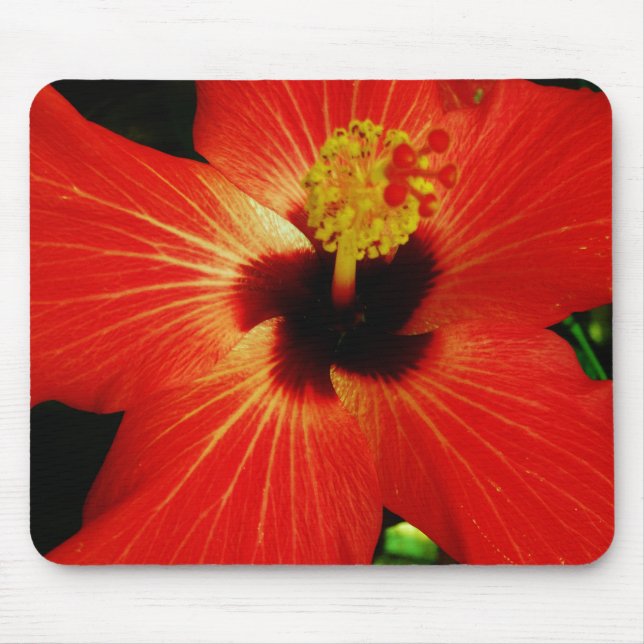 Alfombrilla De Ratón Naranja rojo brillante Hibiscus Flower (Frente)