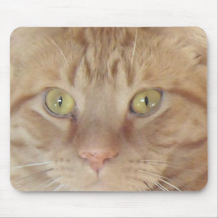 Alfombrilla De Ratón Naranja Tabby Cat