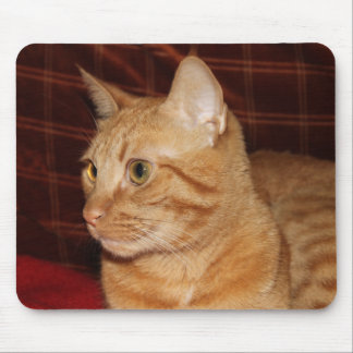 Alfombrilla De Ratón Naranja Tabby Cat Face Profile