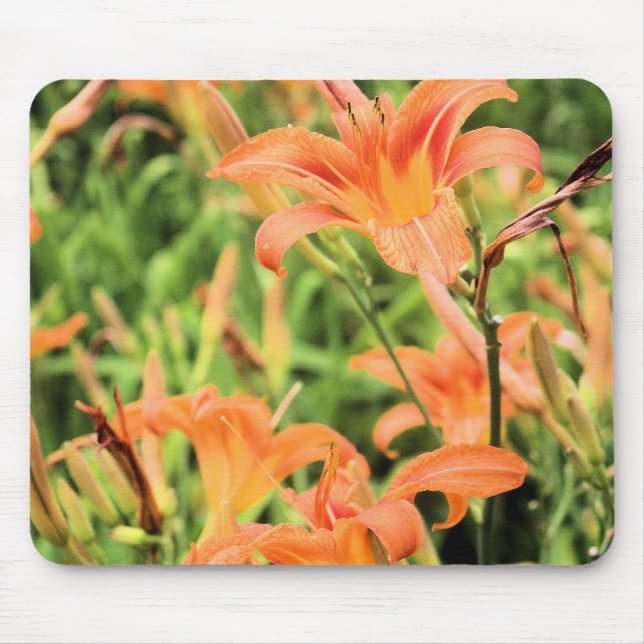 Alfombrilla De Ratón Naranja Tiger Lilies Mousepad (Frente)