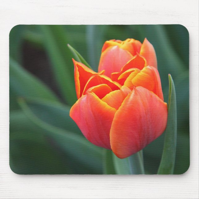 Alfombrilla De Ratón Naranja Tulip (Frente)