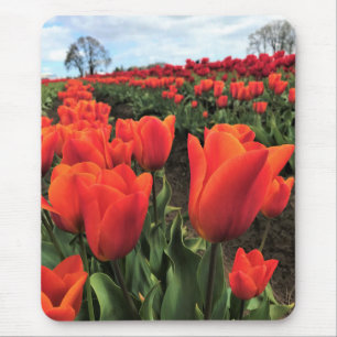 Alfombrilla De Ratón Naranja Tulips en un campo, Oregón