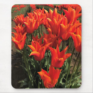 Alfombrilla De Ratón Naranja Tulips, Oregón