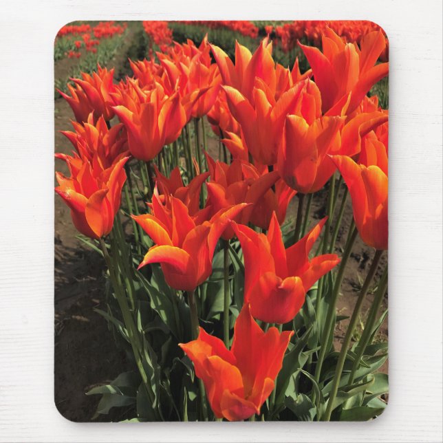 Alfombrilla De Ratón Naranja Tulips, Oregón (Frente)