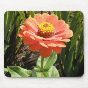 Alfombrilla De Ratón Naranja Zinnia Flower Mousepad