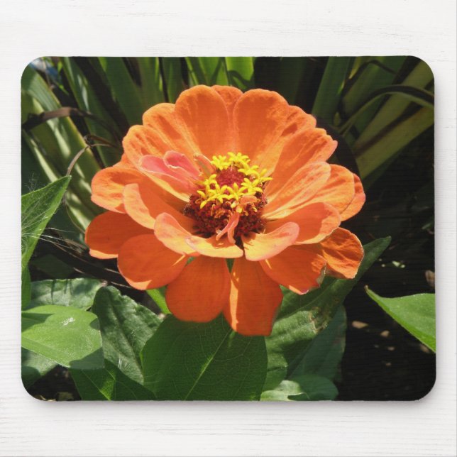 Alfombrilla De Ratón Naranja Zinnia Mousepad (Frente)