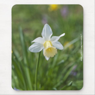 Alfombrilla De Ratón Narciso