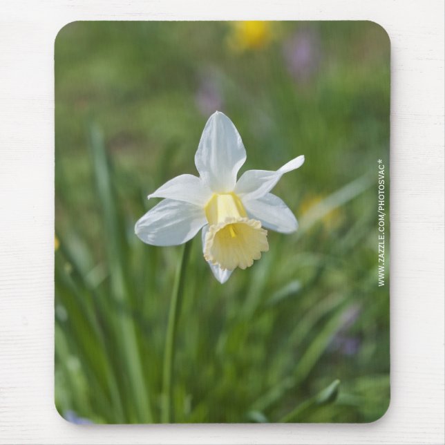Alfombrilla De Ratón Narciso (Frente)