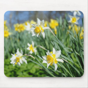 Alfombrilla De Ratón narciso hermoso
