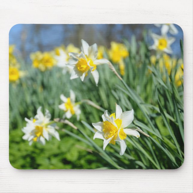 Alfombrilla De Ratón narciso hermoso (Frente)