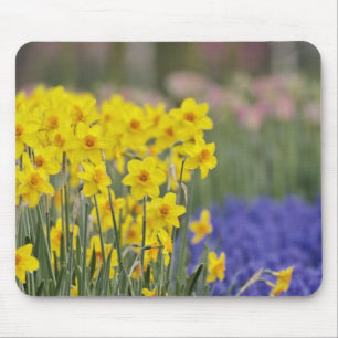 Alfombrilla De Ratón Narcisos y jacintos de uva, Keukenhof