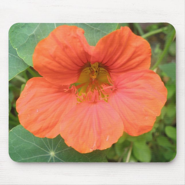 Alfombrilla De Ratón Nasturtium Flower Mousepad naranja (Frente)