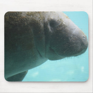 Alfombrilla De Ratón Natación adorable del Manatee
