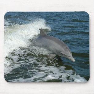 Alfombrilla De Ratón Natación de Dolphin Mousepad