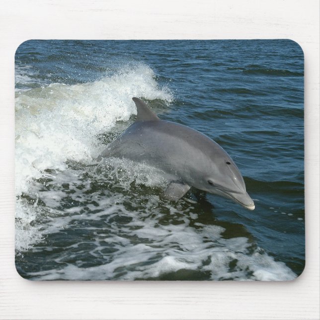 Alfombrilla De Ratón Natación de Dolphin Mousepad (Frente)