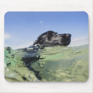 Alfombrilla De Ratón Natación de perro en el agua