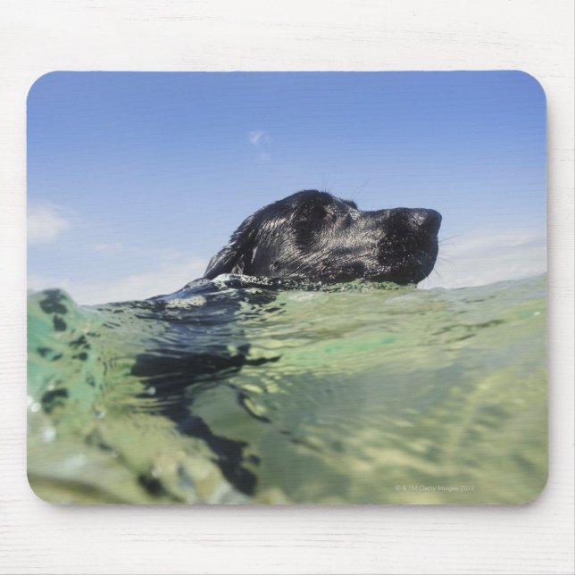 Alfombrilla De Ratón Natación de perro en el agua (Frente)