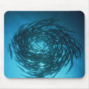 Alfombrilla De Ratón Natación del barracuda de Blackfin en círculos