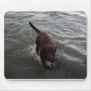 Alfombrilla De Ratón Natación del labrador retriever