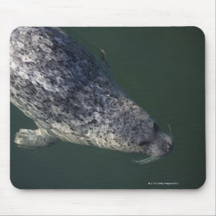 Alfombrilla De Ratón Natación del sello debajo del agua 2