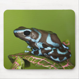 Alfombrilla De Ratón Nativa de Panamá