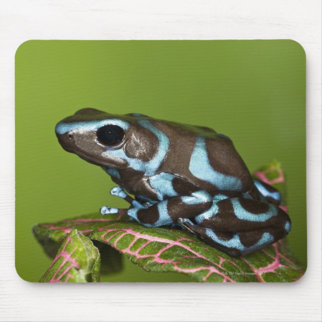 Alfombrilla De Ratón Nativa de Panamá (Frente)