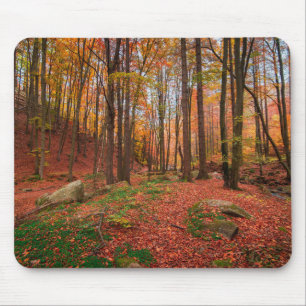 Alfombrilla De Ratón naturaleza, bosque, árboles
