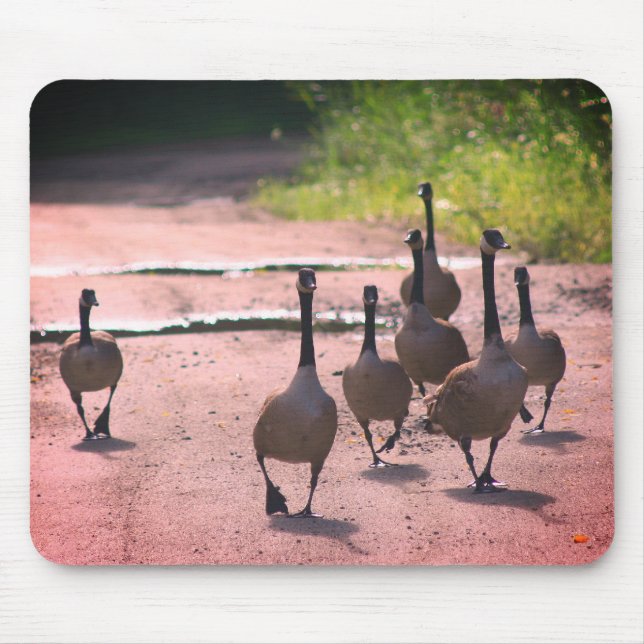 Alfombrilla De Ratón Naturaleza de la familia ganadera de Canadá (Frente)