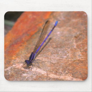 Alfombrilla De Ratón Naturaleza de la libélula