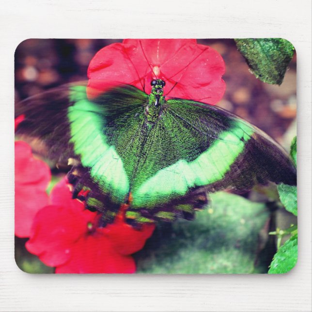 Alfombrilla De Ratón Naturaleza de la mariposa verde (Frente)
