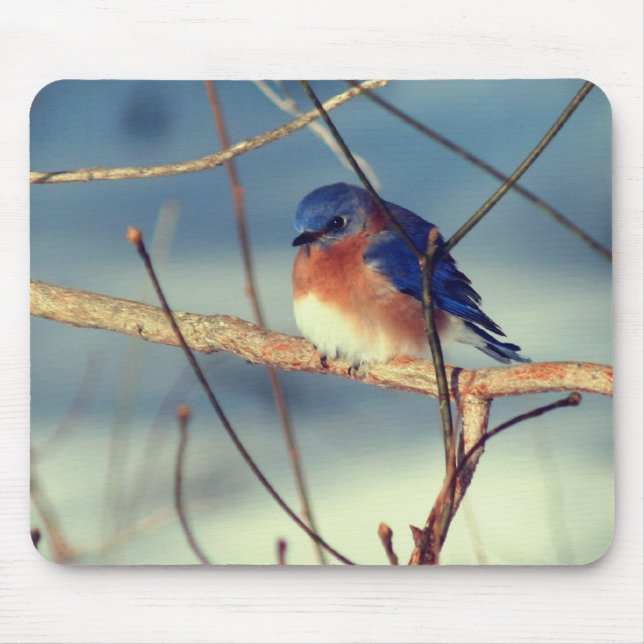 Alfombrilla De Ratón Naturaleza de la vida silvestre Winter Bluebird (Frente)