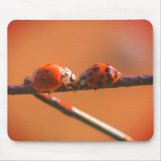 Alfombrilla De Ratón Naturaleza de los amigos de Ladybug