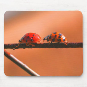 Alfombrilla De Ratón Naturaleza de los Buques de Ladybug
