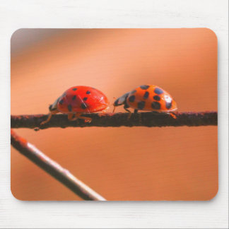 Alfombrilla De Ratón Naturaleza de los Buques de Ladybug