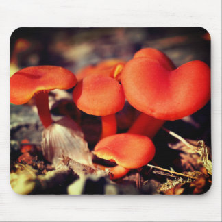 Alfombrilla De Ratón Naturaleza de los hongos rojos naranja