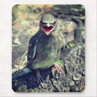 Alfombrilla De Ratón Naturaleza de los pájaros que huelen
