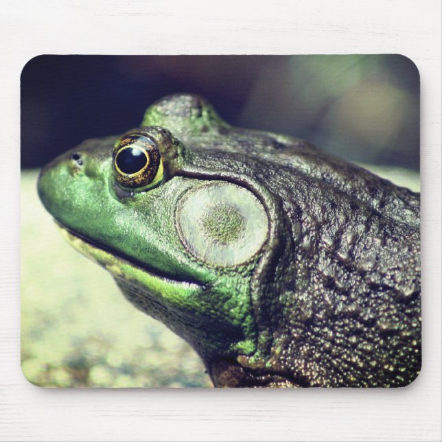 Alfombrilla De Ratón Naturaleza de los Pensamientos de Rana Bullfrog (Frente)