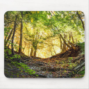 Alfombrilla De Ratón Naturaleza del atardecer de bosques