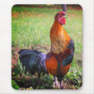 Alfombrilla De Ratón Naturaleza del cultivo de gallos