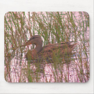 Alfombrilla De Ratón Naturaleza del Pato Mallard