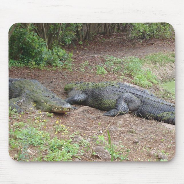 ALFOMBRILLA DE RATÓN NATURALEZA MOUSEPAD (Frente)