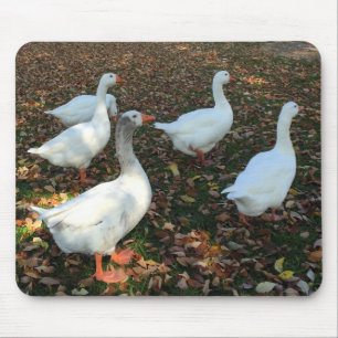 Alfombrilla De Ratón Naturaleza pura