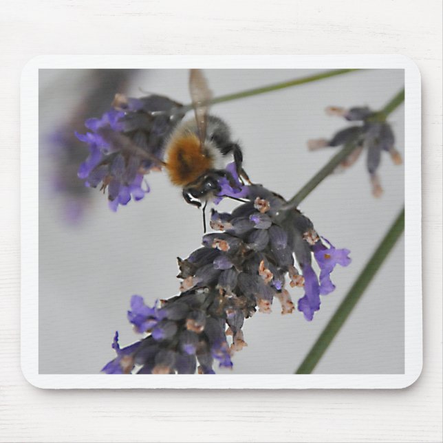 Alfombrilla De Ratón Naturas trabajadores maravillosos (Frente)