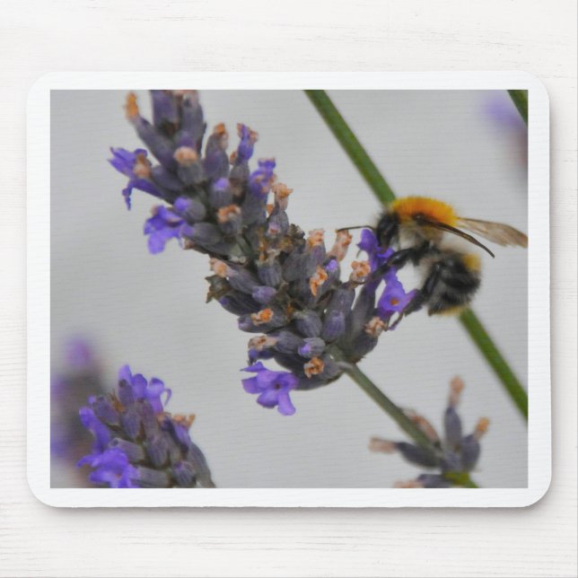 Alfombrilla De Ratón Naturas trabajadores maravillosos (Frente)