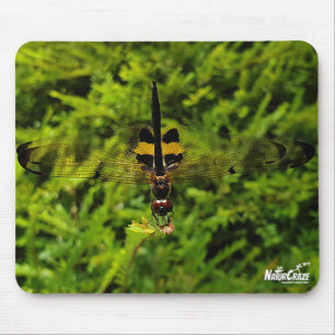 Alfombrilla De Ratón NaturCraze Mousepad de la Flauta de Dragón Negro y
