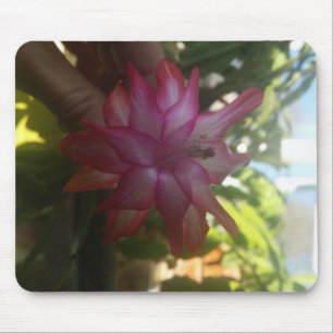 Alfombrilla De Ratón navidades cactus mousepad