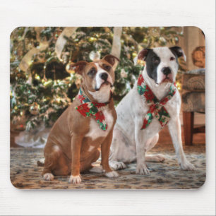 Alfombrilla De Ratón Navidades inteligentes rescatan a Pitbull y al Bul